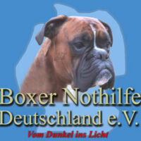 Boxer Nothilfe Deutschland e.V. logo retina