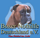 Boxer Nothilfe Deutschland e.V. Logo